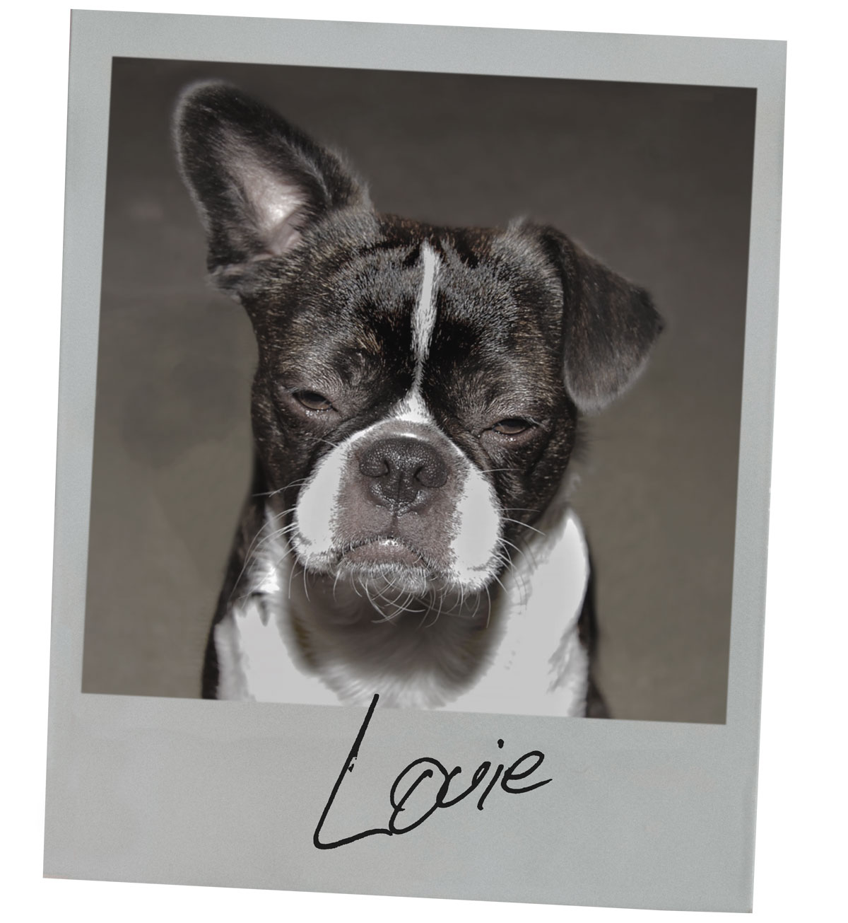 Willie Lyonsan's spirit guide and constant companion, Louie