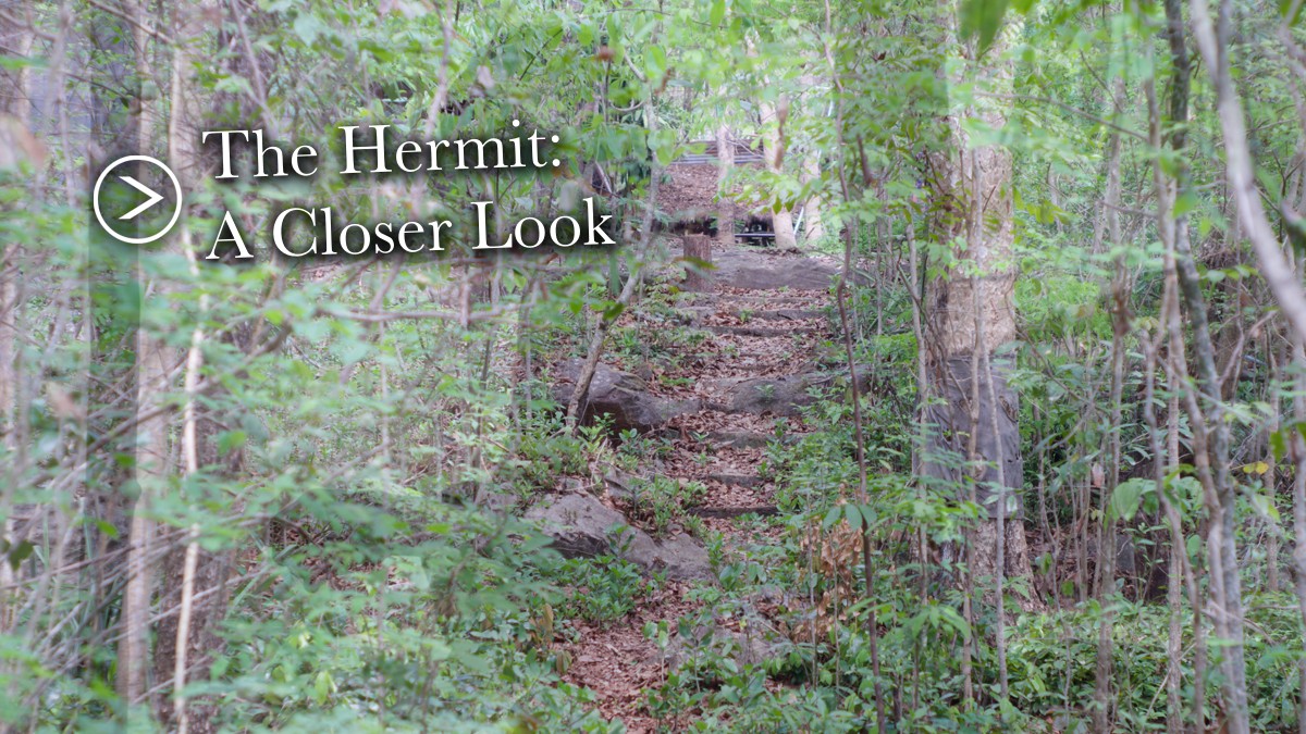 The Hermit: A Closer Look – WATCH!